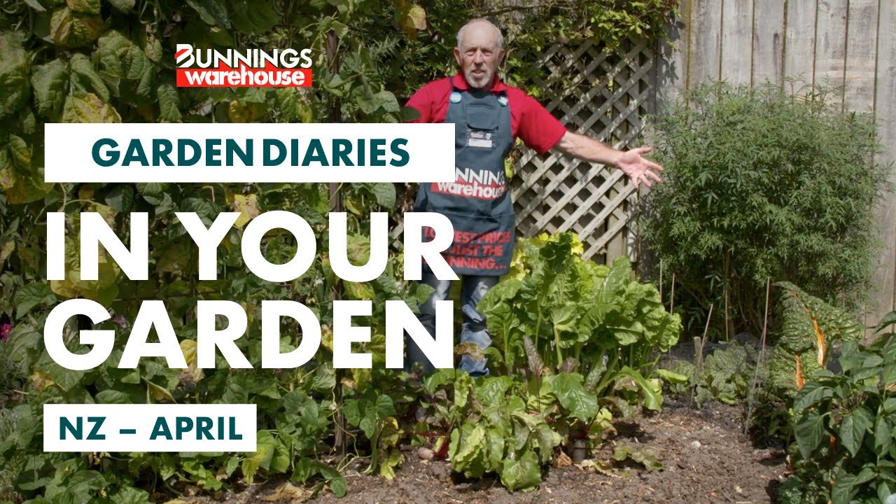 Gardening Tips For June
