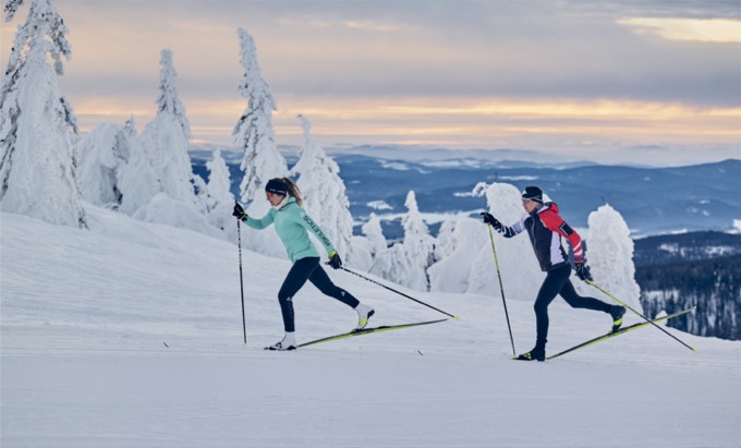 backcountry skiing vs cross country skiing