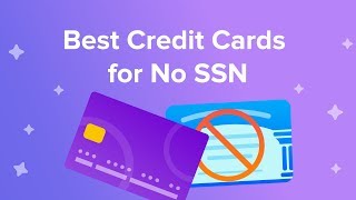 no credit check credit cards