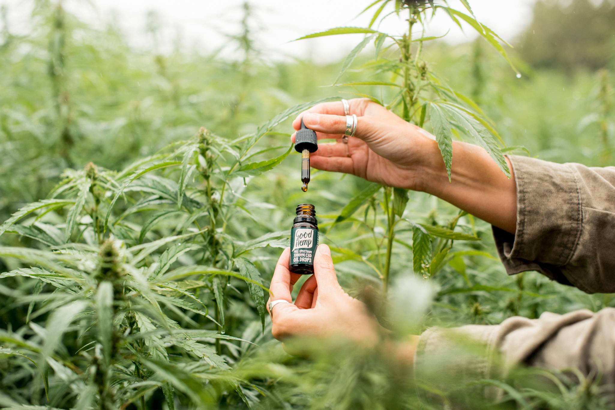 cbd products for pain relief