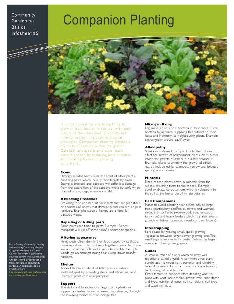 things to know about gardening