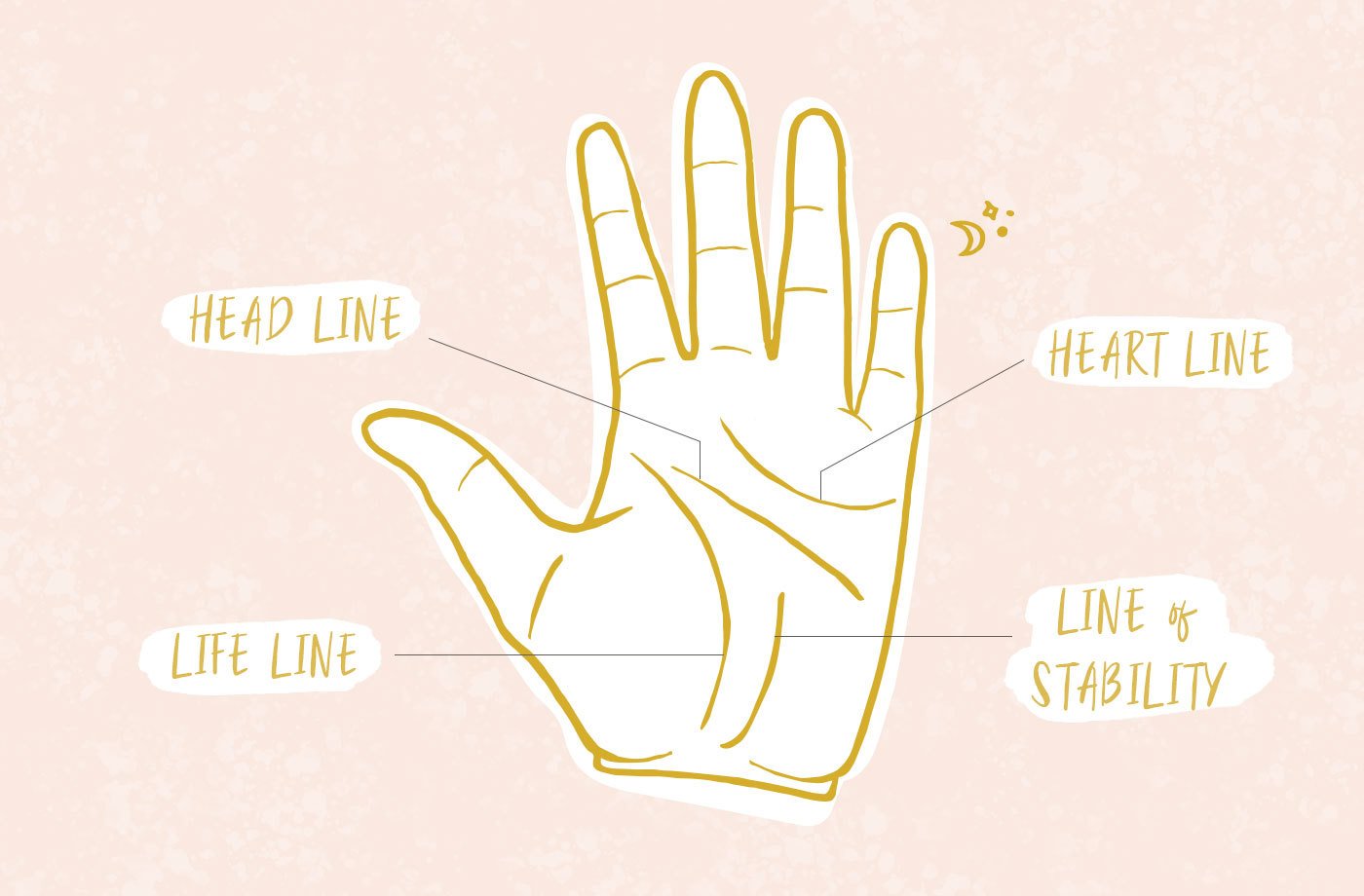 palm reading guide chart