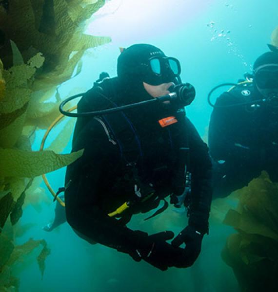 certification scuba diving