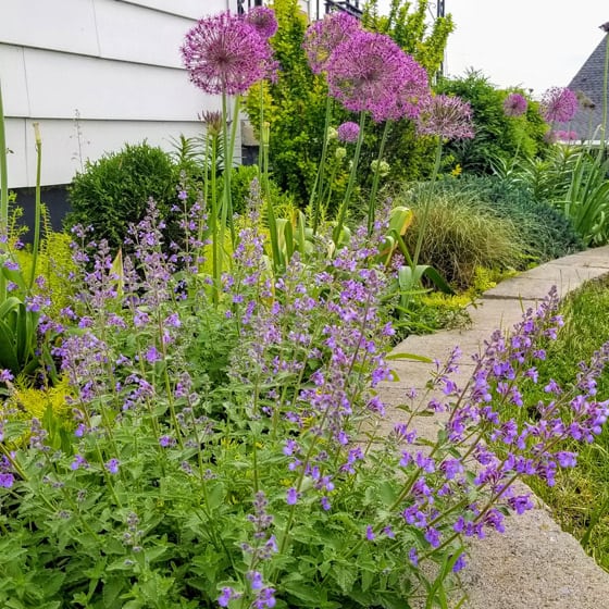 Niki Jabbour is the Year Round Vegetable Gardener.
